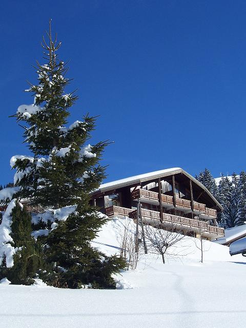 Aravis 1500