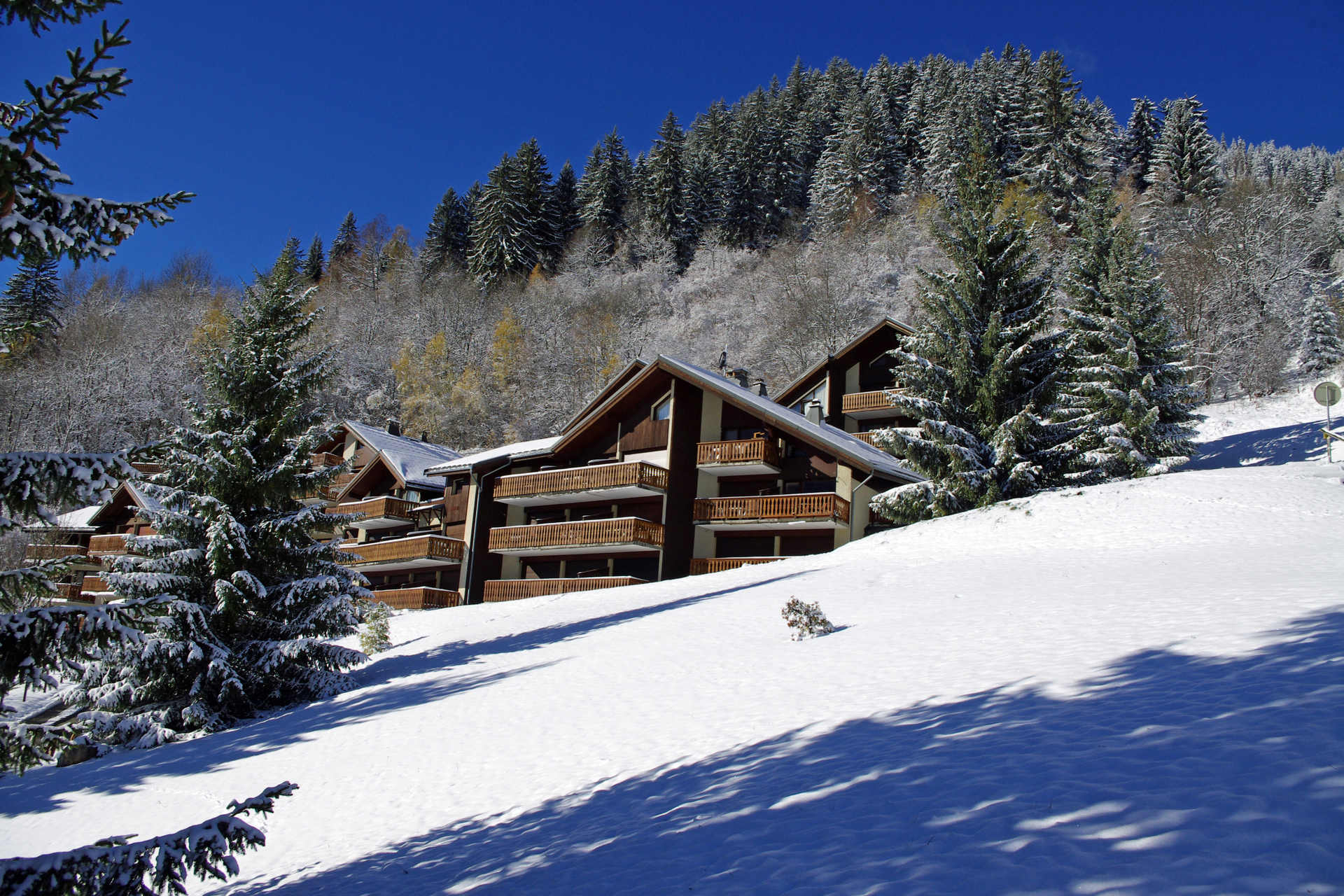 Dryades - Les Hauts De Planchamp