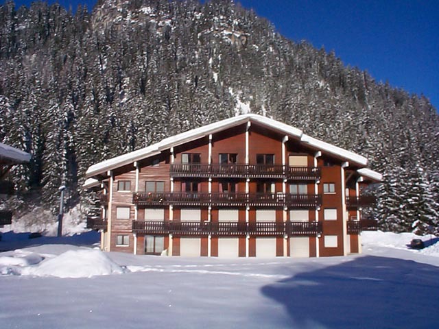 Le Perce-neige
