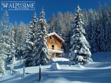 Image 1 Annonce 1074