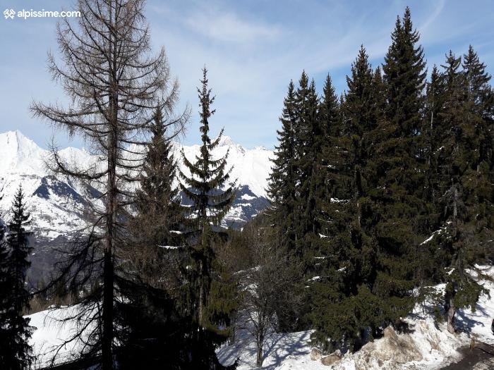 location-studio-Arc-1800-Charvet-5-personnes-1145-2-Alpissime location-studio-Arc-1800-Charvet-5-personnes-1145-2-Alpissime