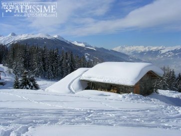 Image 1 Annonce 1157