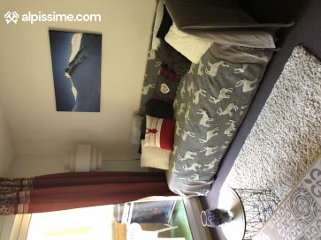 Image 4 Annonce 1252