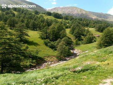 location-studio-Val-d'Allos-La-Foux-4-personnes-1324-5-Alpissime