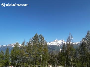 Image 4 Annonce 2091