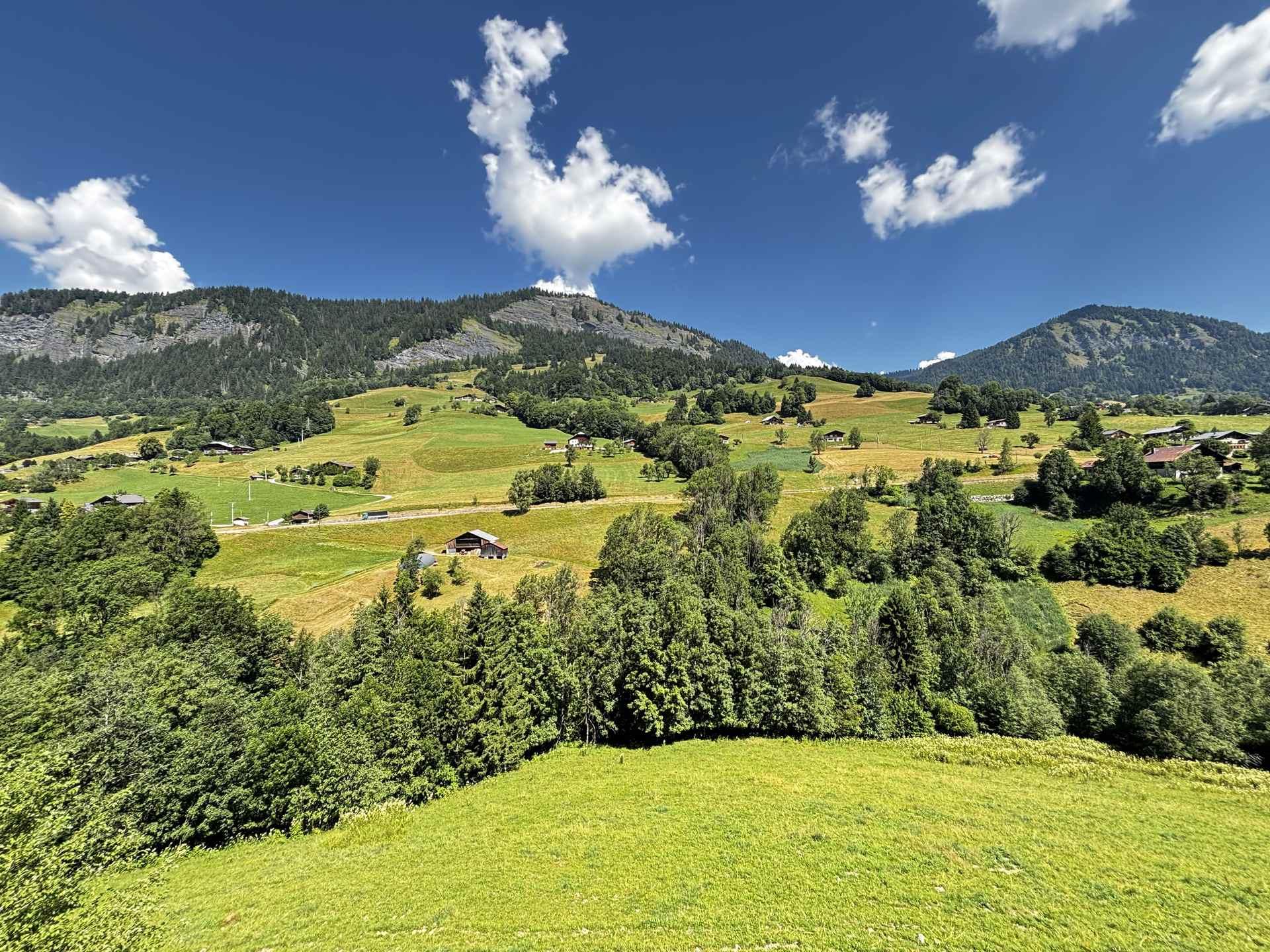 Image 3 Annonce 2097