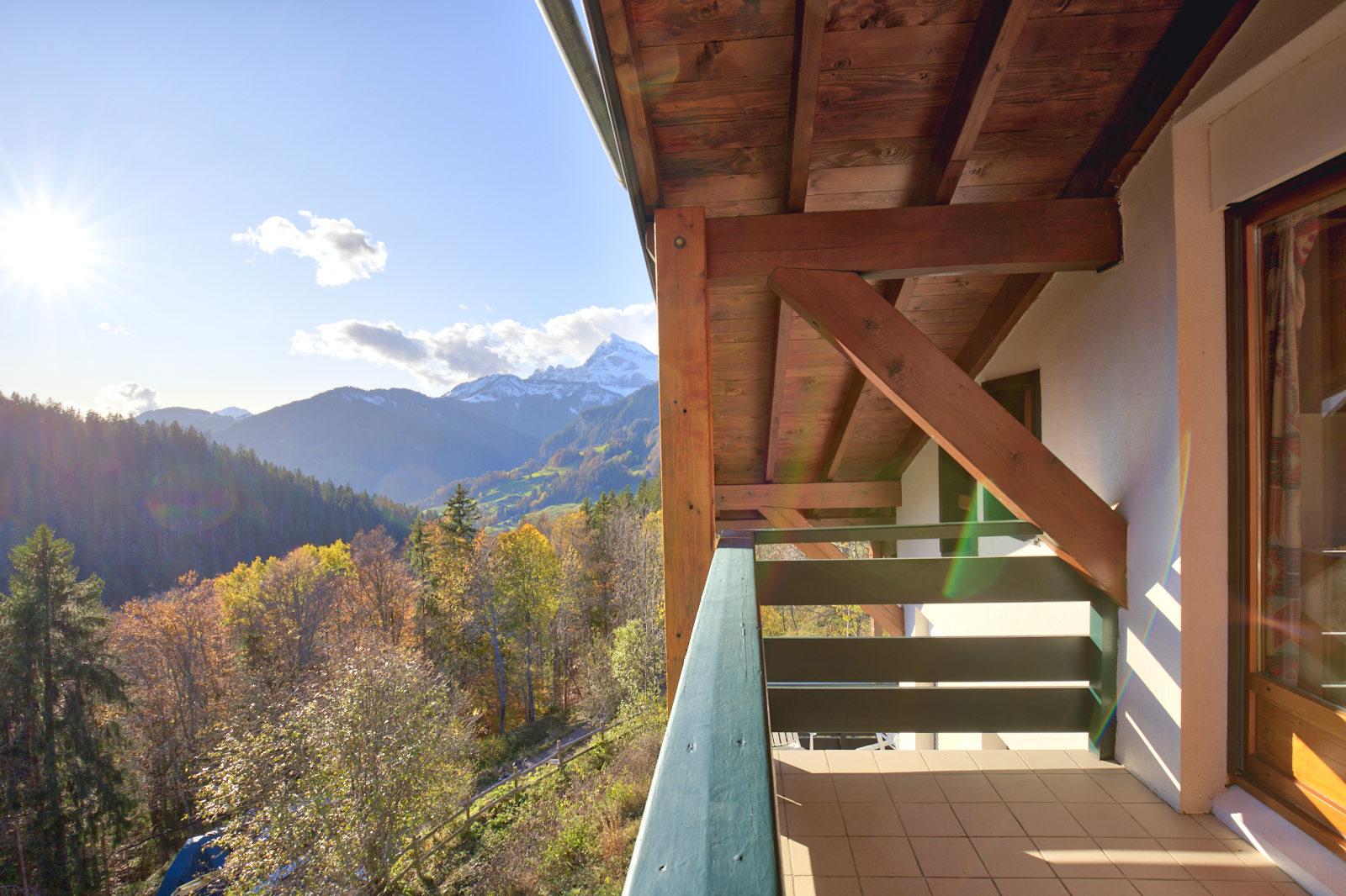 Image 3 Annonce 2100