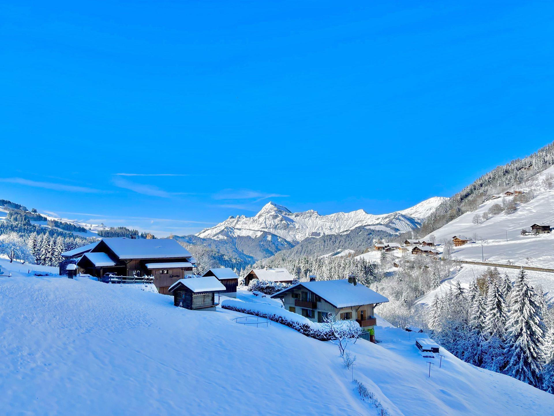 location-appartement-Notre-Dame-de-Bellecombe-1350-12-personnes-2161-2-Alpissime