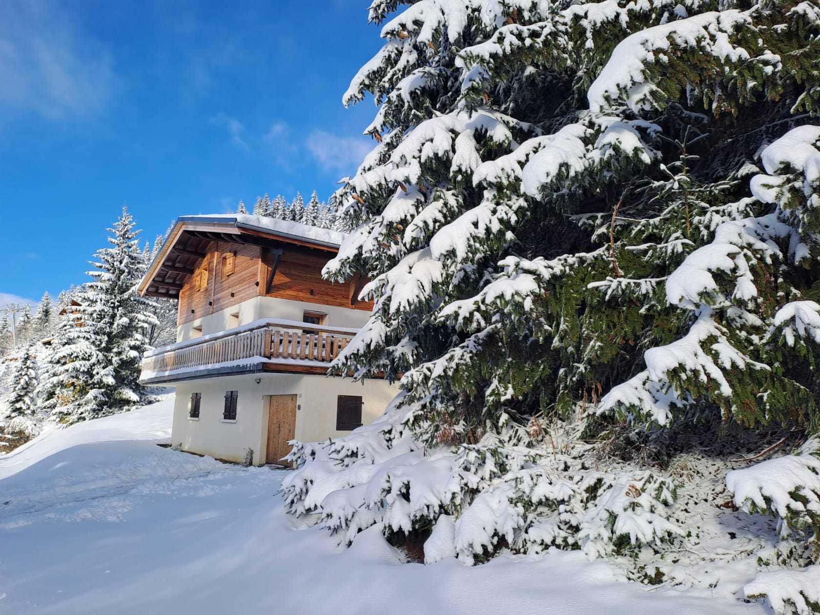 location-chalet-Notre-Dame-de-Bellecombe-10-personnes-3230-5-Alpissime location-chalet-Notre-Dame-de-Bellecombe-10-personnes-3230-5-Alpissime
