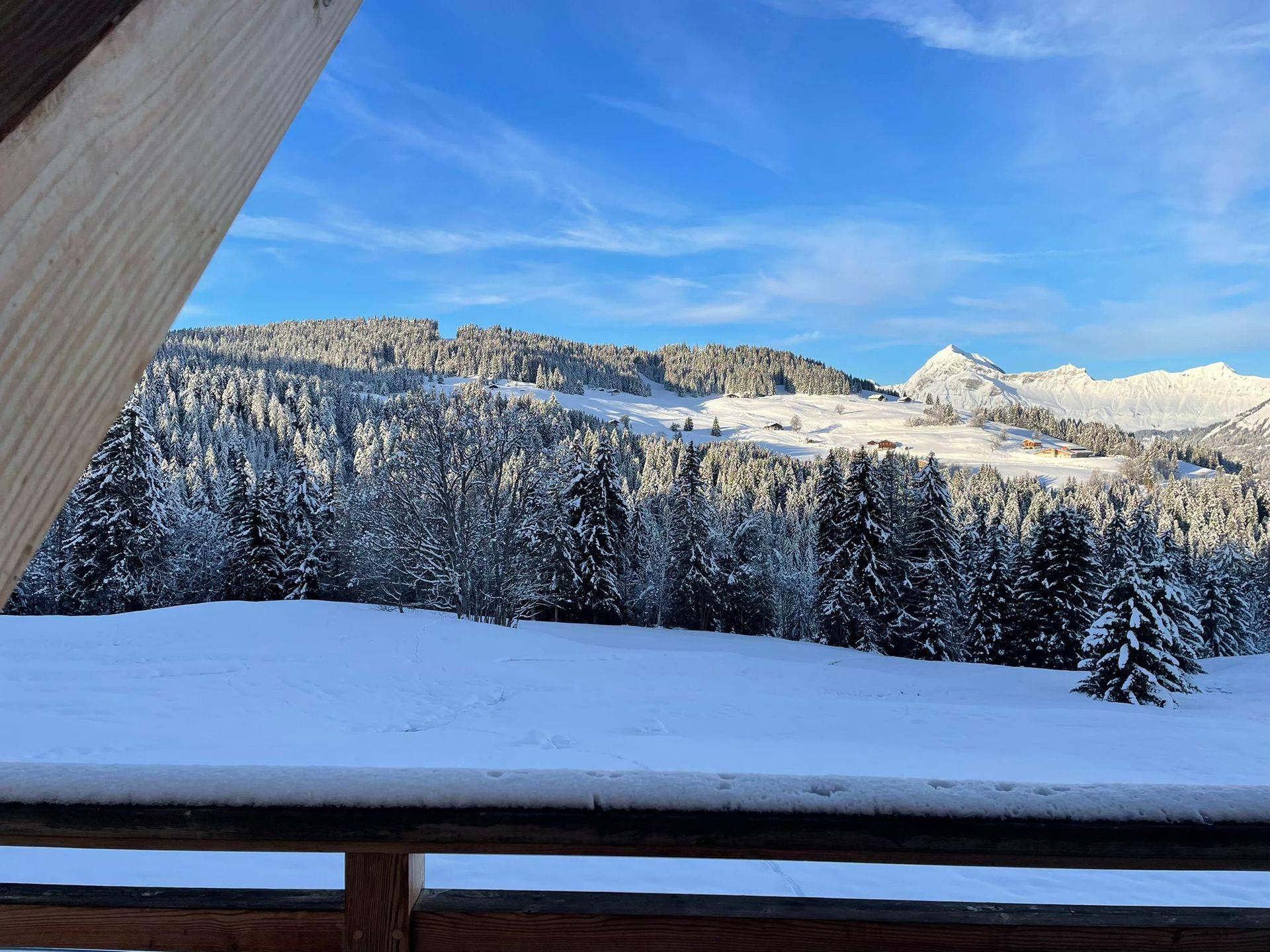 location-chalet-Notre-Dame-de-Bellecombe-10-personnes-3393-2-Alpissime location-chalet-Notre-Dame-de-Bellecombe-10-personnes-3393-2-Alpissime