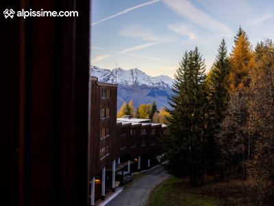 Image 4 Annonce 3582