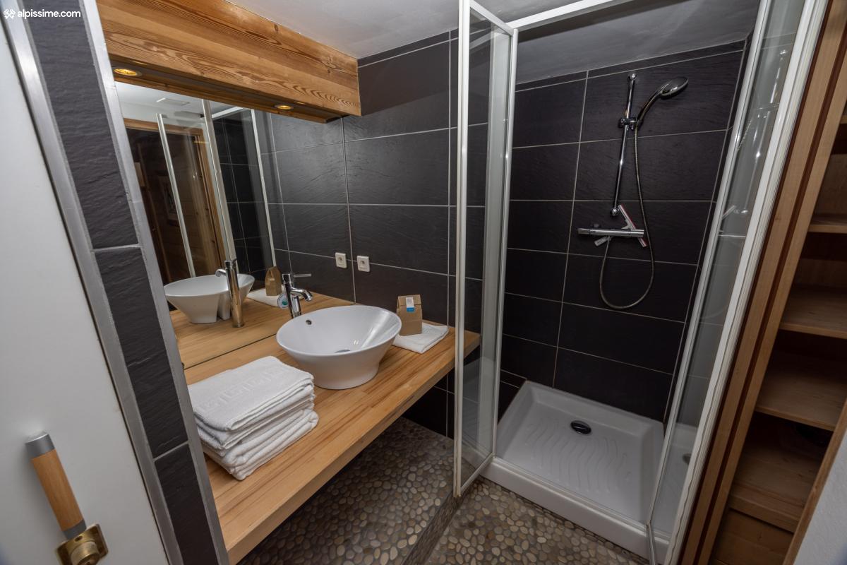 Une salle d'eau avec WC