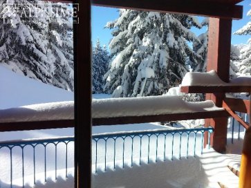 location-studio-Arc-1800-Charvet-4-personnes-379-2-Alpissime location-studio-Arc-1800-Charvet-4-personnes-379-2-Alpissime